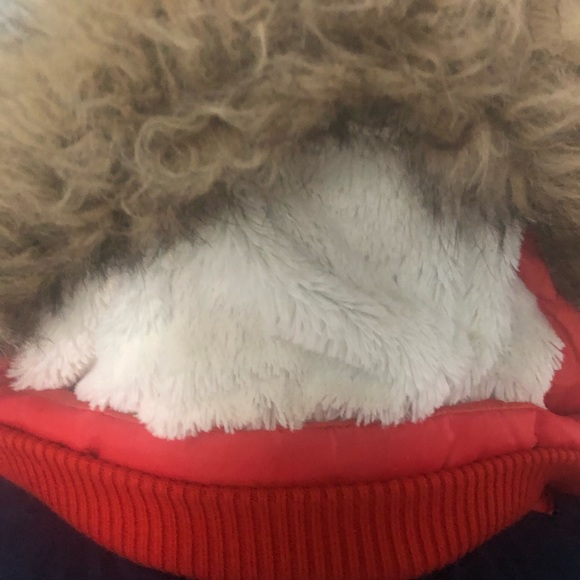 Jacket - Picture 10 of 11